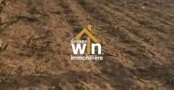 magnifique Terrain Agricole