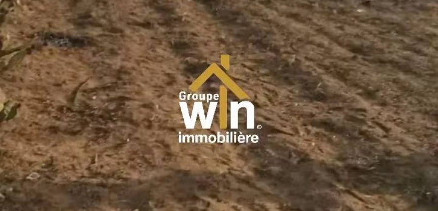 magnifique Terrain Agricole
