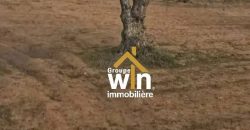 magnifique Terrain Agricole
