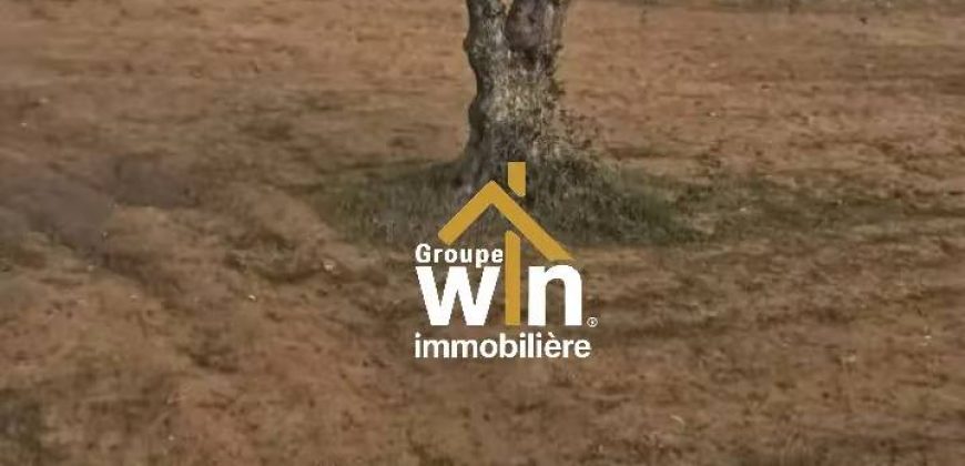 magnifique Terrain Agricole