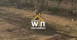 magnifique Terrain Agricole