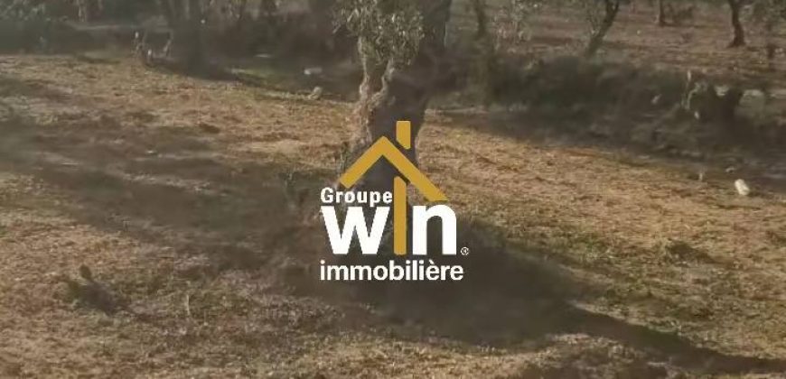 magnifique Terrain Agricole