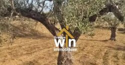 magnifique Terrain Agricole