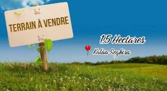 magnifique Terrain Agricole