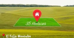 Opportunité Exceptionnelle pour Promoteur Immobilier