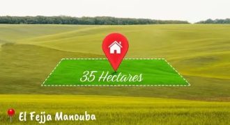 Opportunité Exceptionnelle pour Promoteur Immobilier