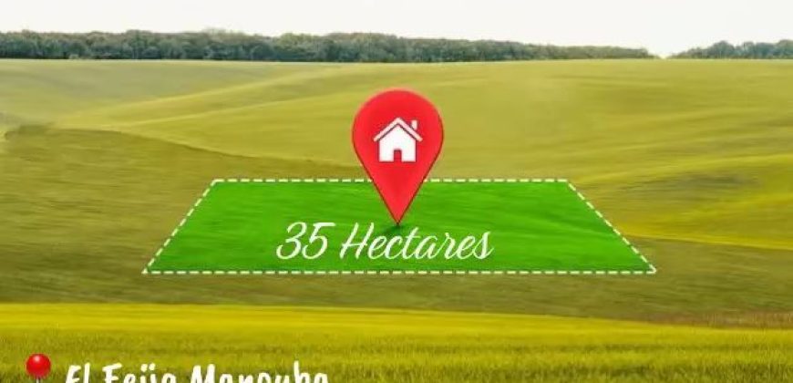 Opportunité Exceptionnelle pour Promoteur Immobilier