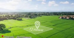 Magnifique Terrain de 1,2 Hectare