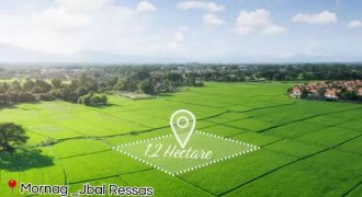 Magnifique Terrain de 1,2 Hectare