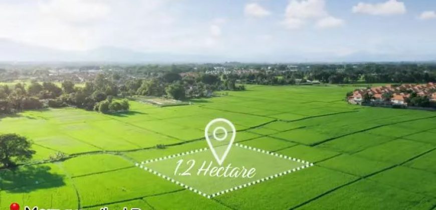Magnifique Terrain de 1,2 Hectare
