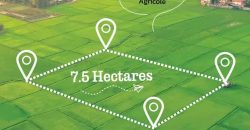 Occasion exceptionnelle ! de 7,5 hectares