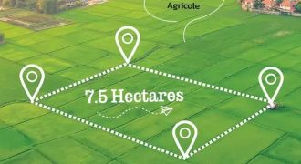 Occasion exceptionnelle ! de 7,5 hectares