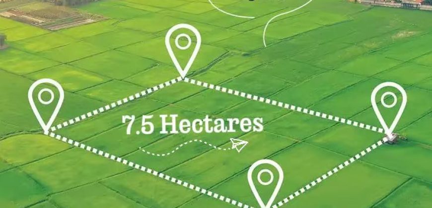 Occasion exceptionnelle ! de 7,5 hectares