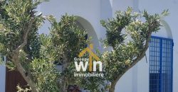 Magnifique Villa de plain-pied À BIR BOUREGBA