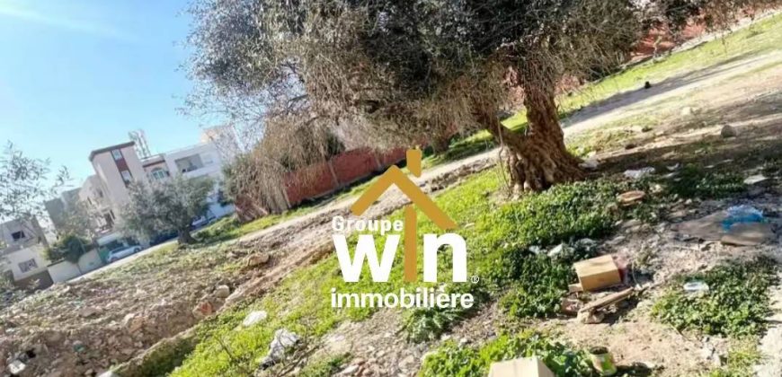 Opportunité d’Investissement