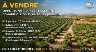 Opportunité d&rsquo;Investissement : Domaine Oléicole