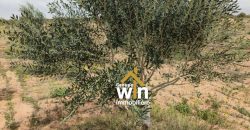Une propriété agricole d&rsquo;excellence