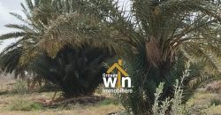 Une propriété agricole d&rsquo;excellence