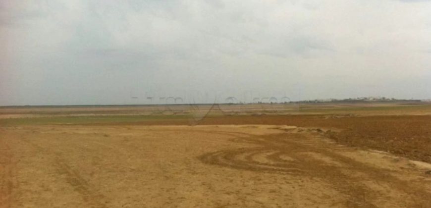 Terrain d&rsquo;Exception à Hergla– Madfoun