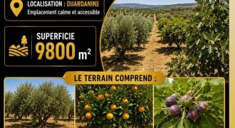 À vendre – Terrain agricole à Ouardanine