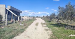À vendre – Terrain agricole à Sidi Mtir