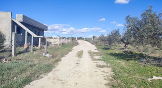 À vendre – Terrain agricole à Sidi Mtir