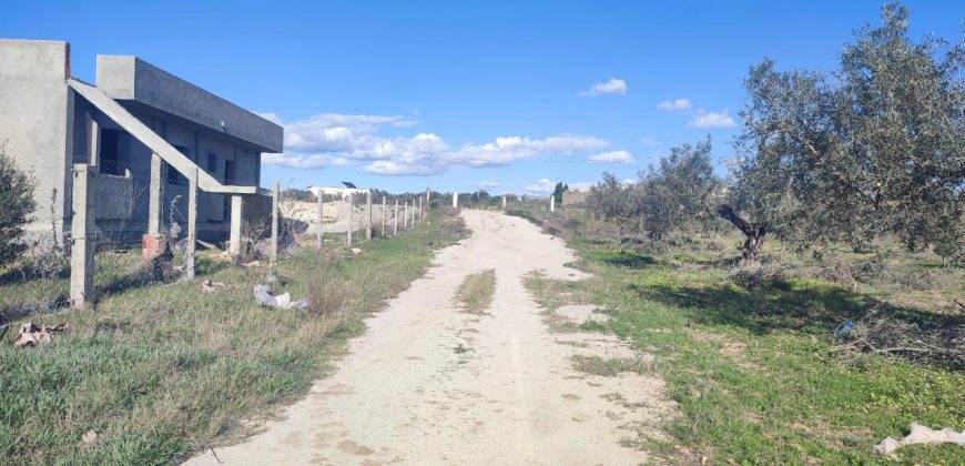 À vendre – Terrain agricole à Sidi Mtir